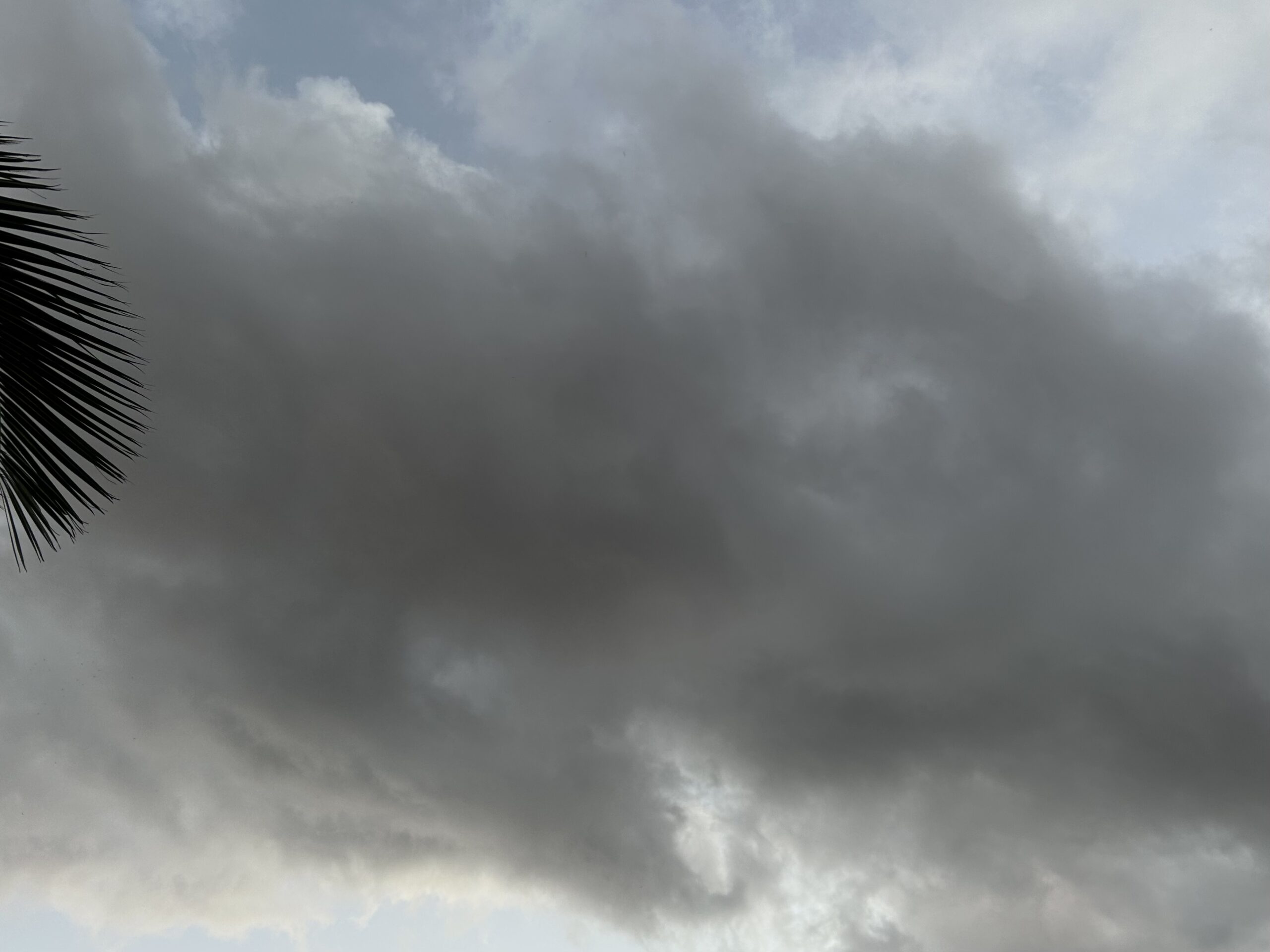 Fotografia: Jean-Marie del Moral.