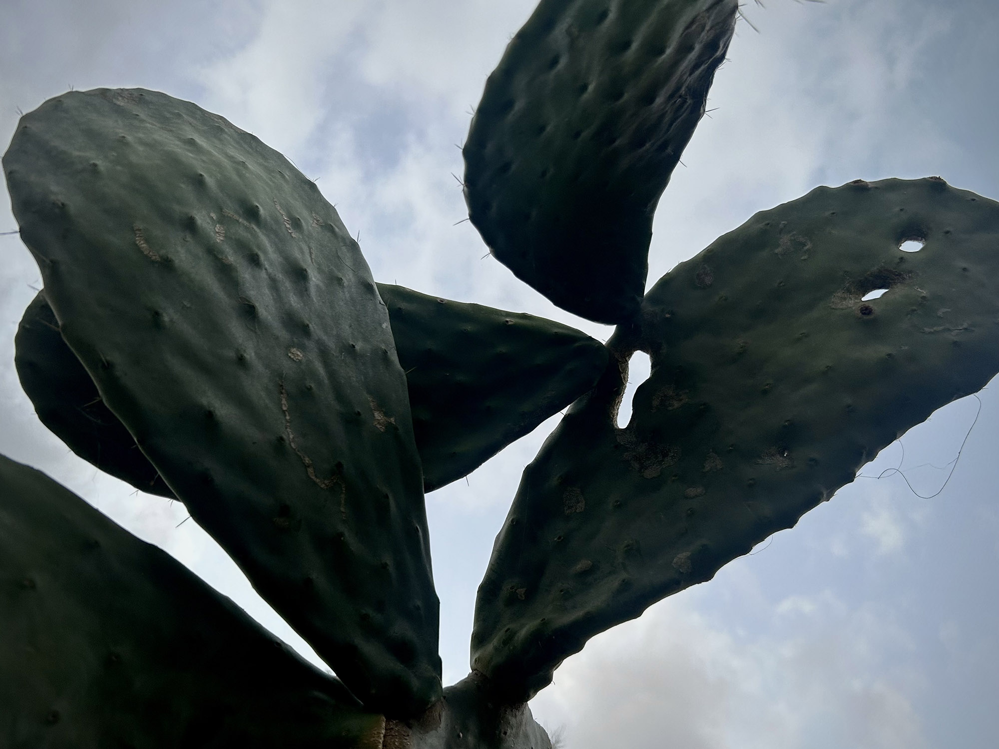 Fotografia: Jean-Marie del Moral.