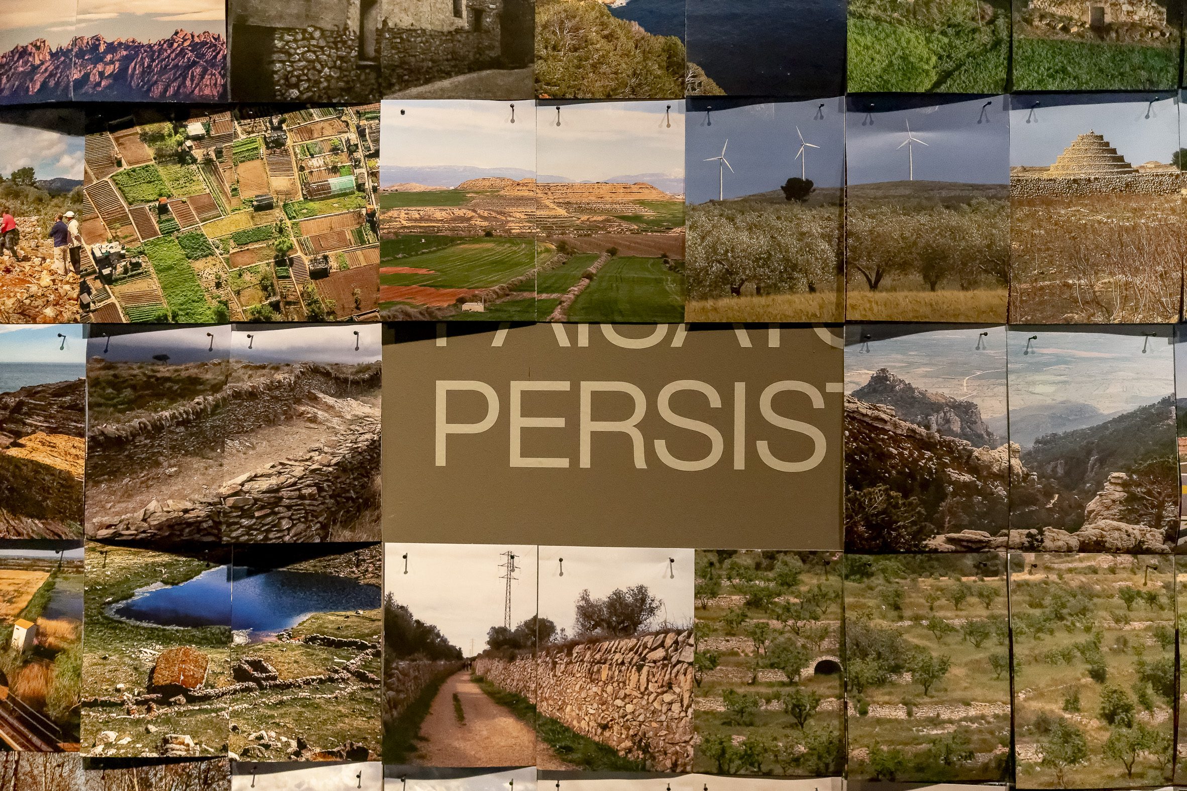Imatge de l’exposició “Dues pedres. Paisatges persistents”.