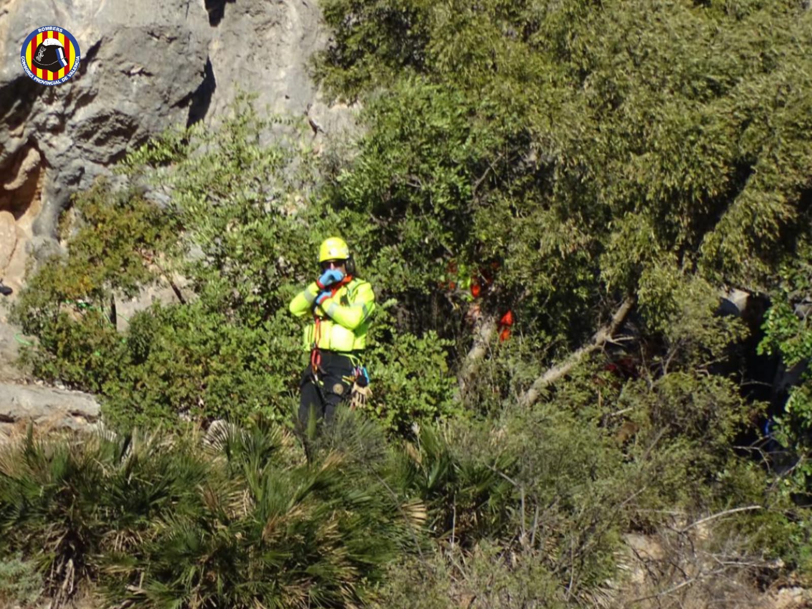 Un moment del rescat (fotografia: Bombers del Consorci Provincial de València).