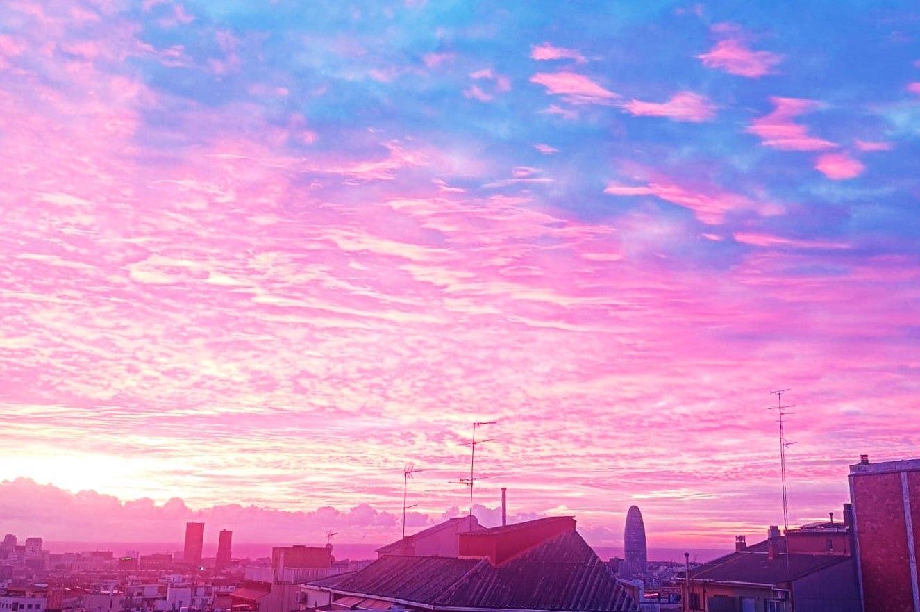 El Guinardó, 9 de gener del 24, 8.30 (fotografia: MI).