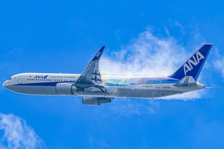 Imatge d'un avió de la companyia japonesa All Nippon Airways (fotografia: @FlyANA_official).