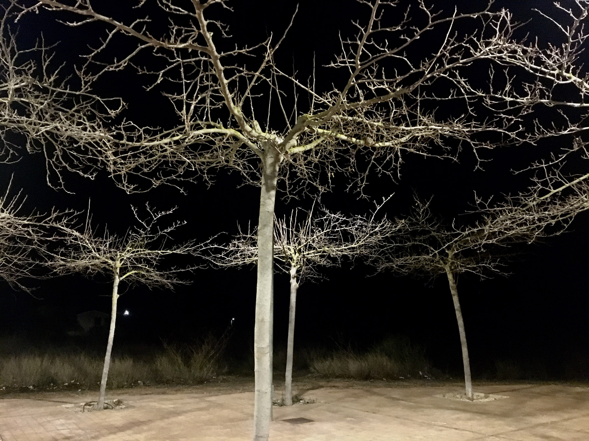 Fotografia: Jean-Marie del Moral.