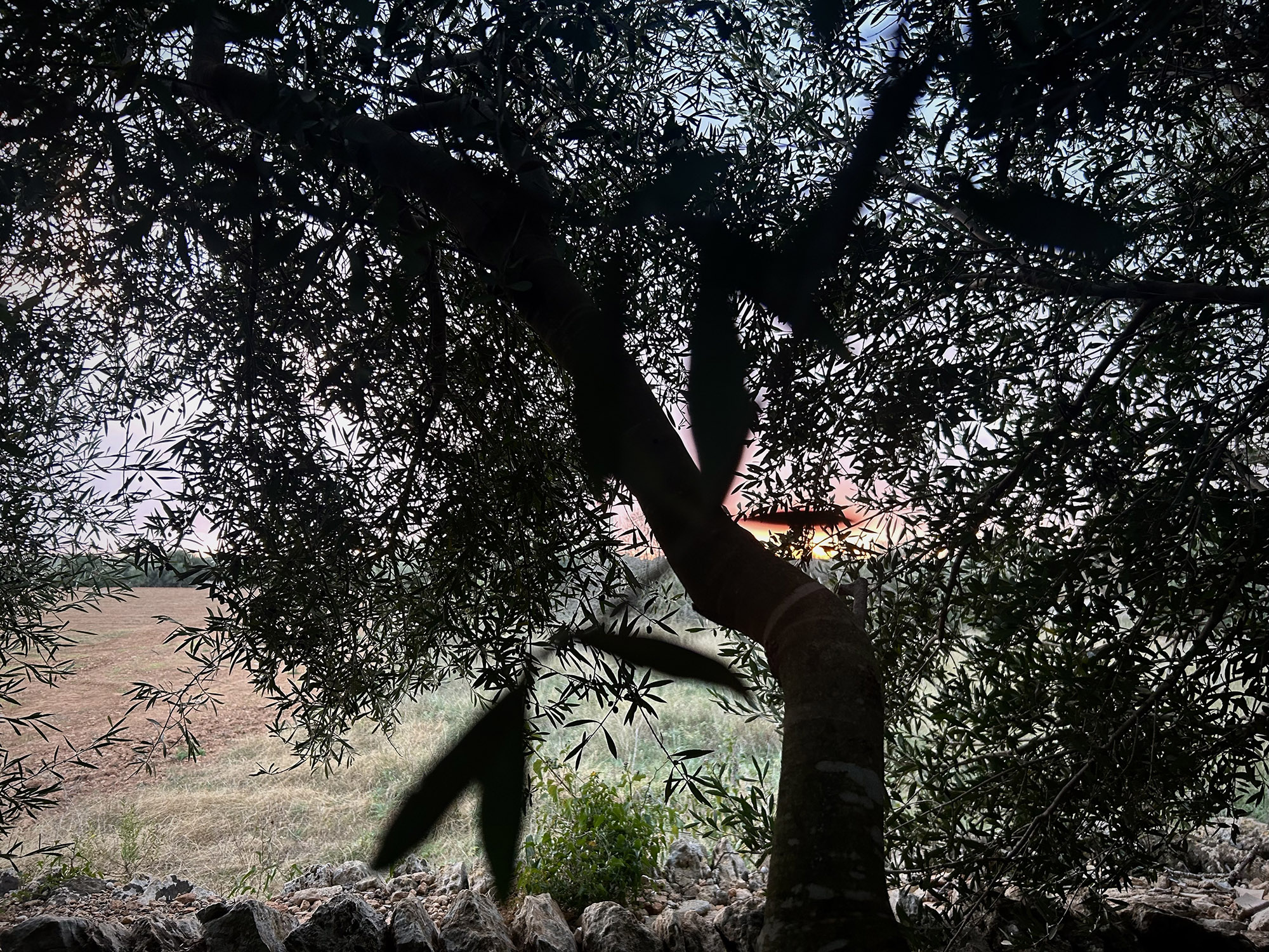 Fotografia: Jean-Marie del Moral.