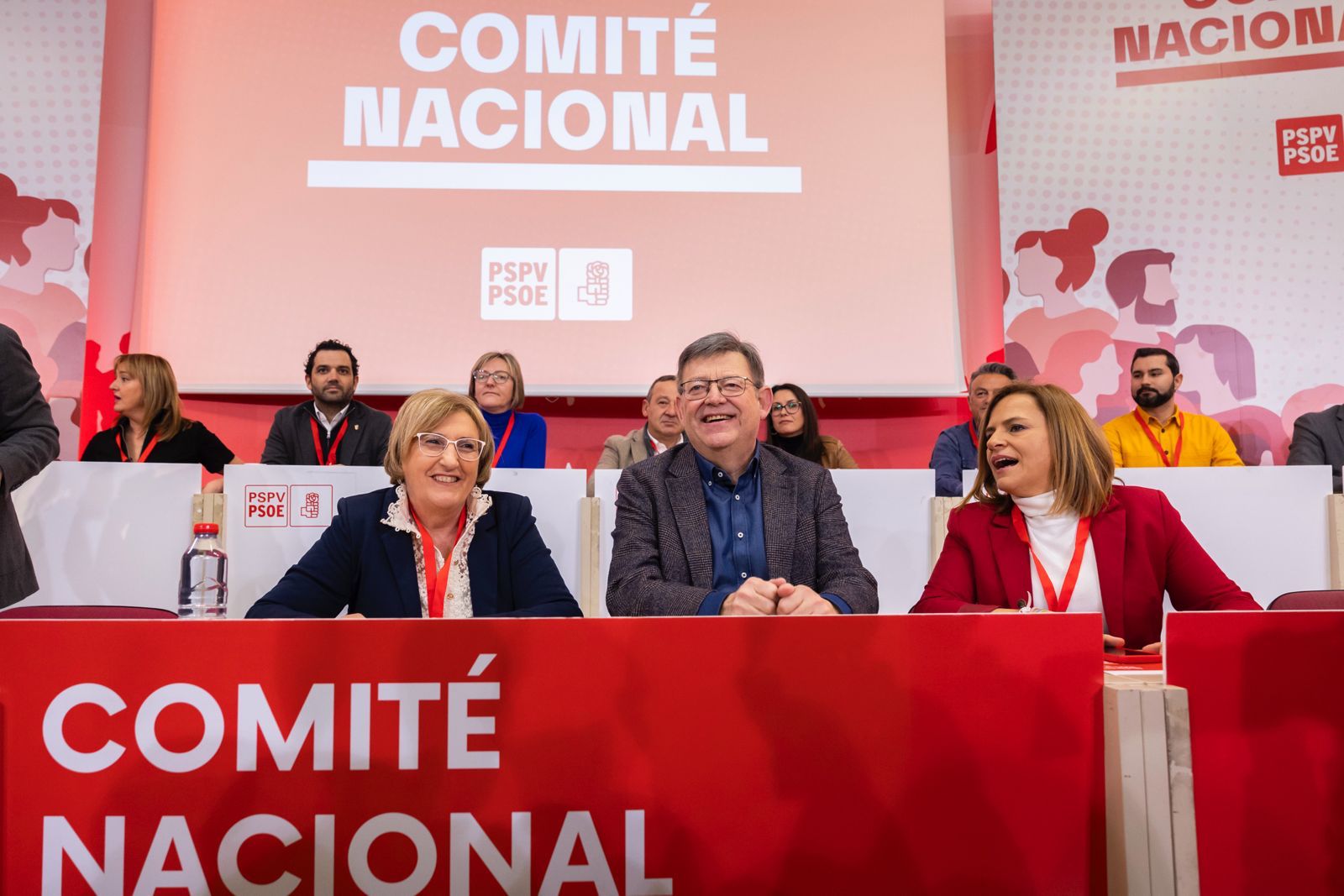 Un moment del comitè nacional d'avui (fotografia: PSPV).