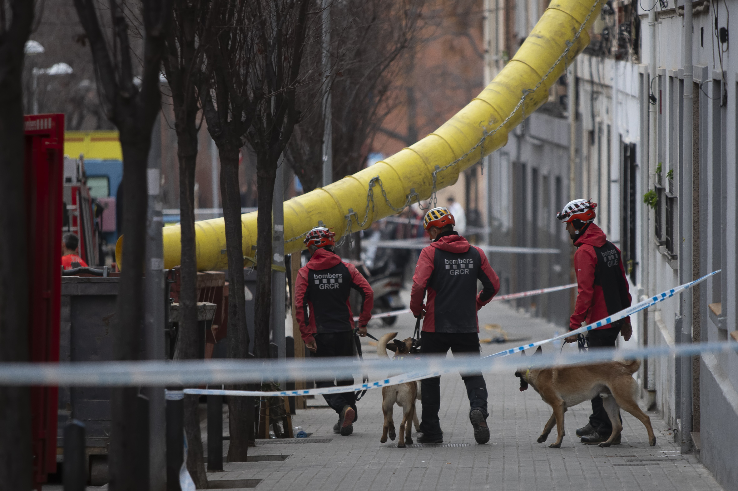 El grup caní de recerca dels bombers accedeix a l'edifici de Badalona que s'ha esfondrat per a buscar si hi ha gent atrapada. (fotografia: Albert Salamé)