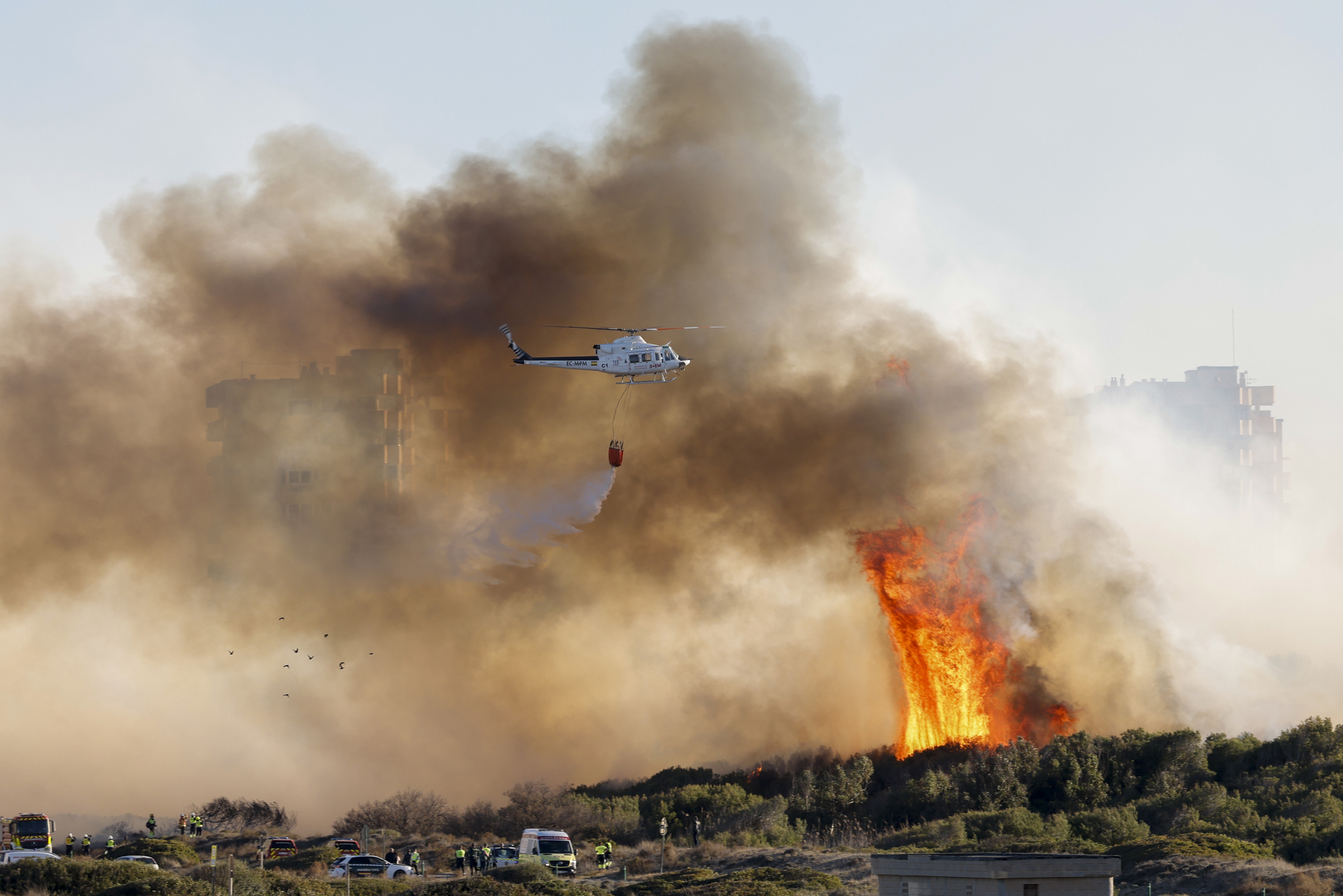 L'incendi del Saler (fotografia: EFE / Ana Escobar).