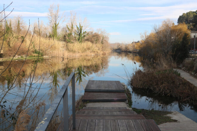 Talen arbres a capçaleres de riu al Ripollès per guanyar un 7% d’aigua al Ter