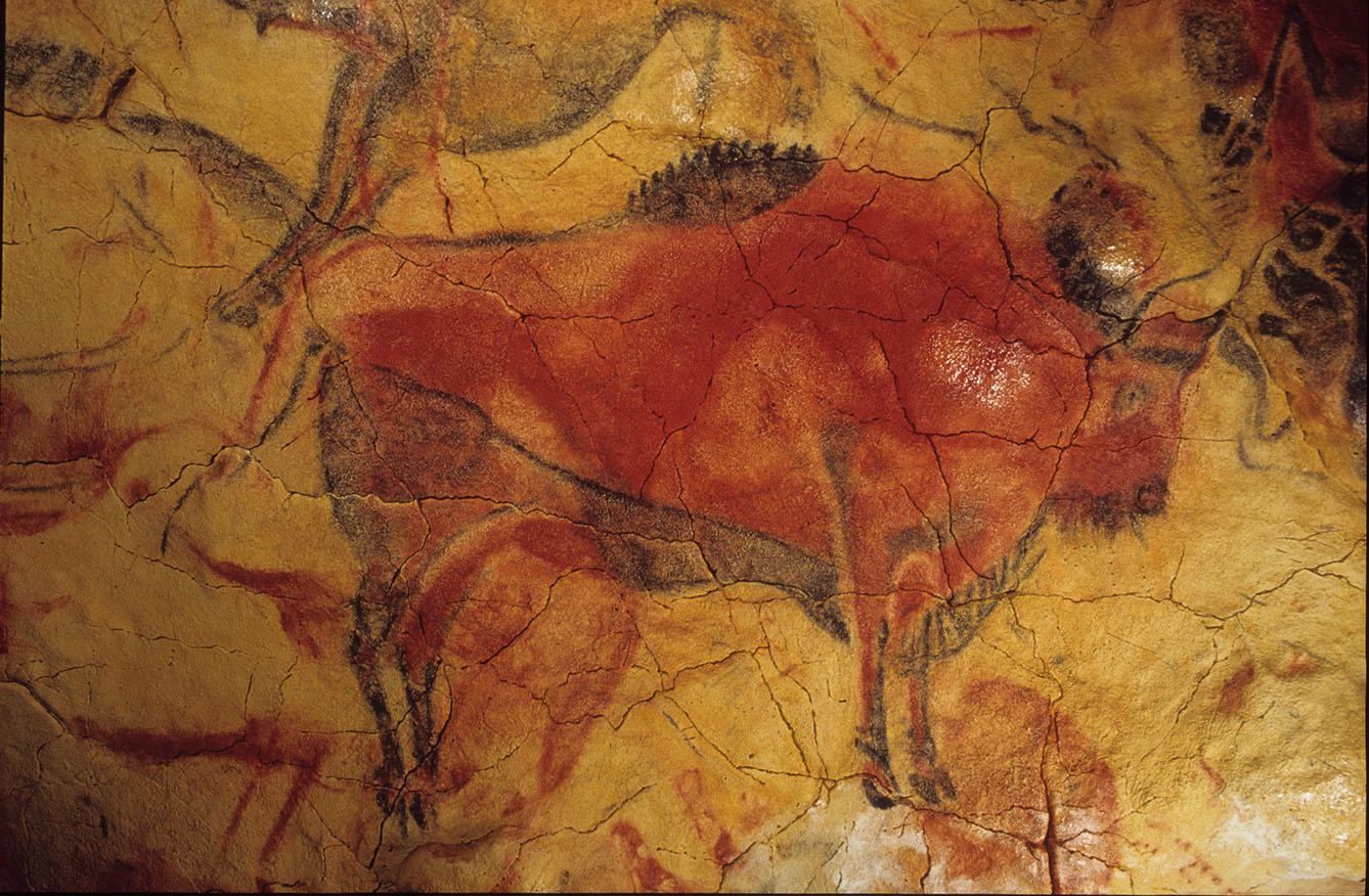Bisó dempeus. Sala de policroms del Museu Nacional i Centre d'Investigació d'Altamira, Ministeri de Cultura i Esports espanyol (© Museu d'Altamira. Fotografia: P. Saura).