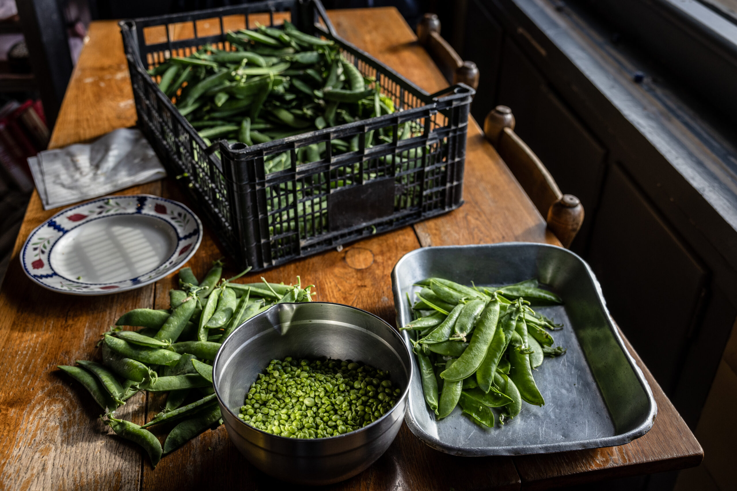 Fotografies: Àngel Garcia.