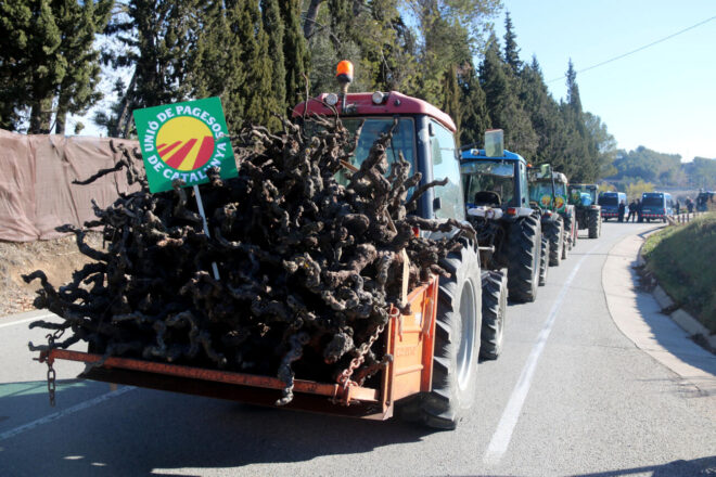 Unió de Pagesos es mobilitza a Sant Sadurní d’Anoia per exigir la modificació de la llei de la cadena alimentària
