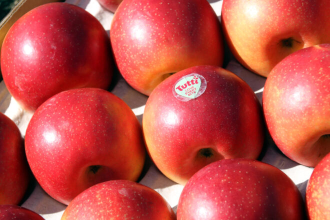 Tutti: la nova poma catalana adaptada al canvi climàtic