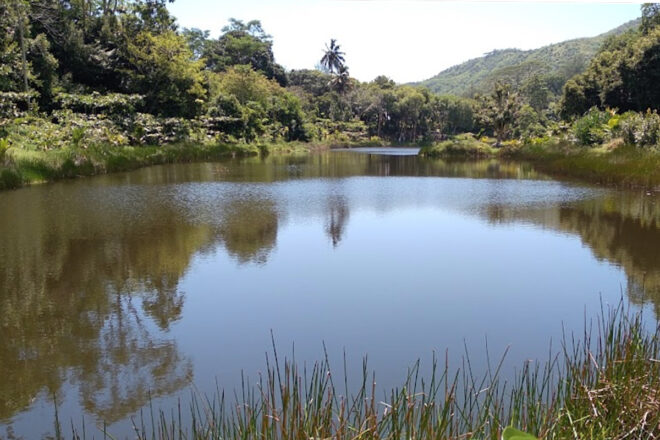 Una Vall d’Andorra tropical al mig de l’oceà