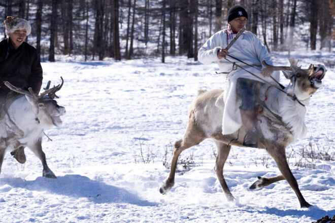Els homes que xiuxiuejaven als rens