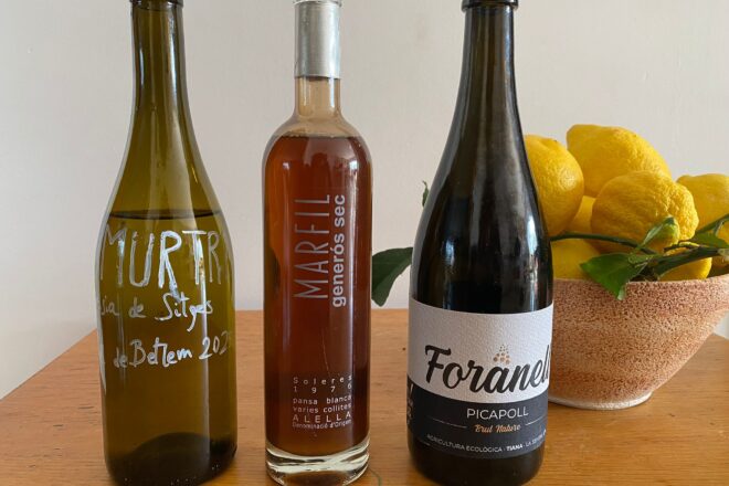 Vins patrimonials a la DO Alella: dues novetats que recuperen varietats i un vi solera del 1976 premiat 