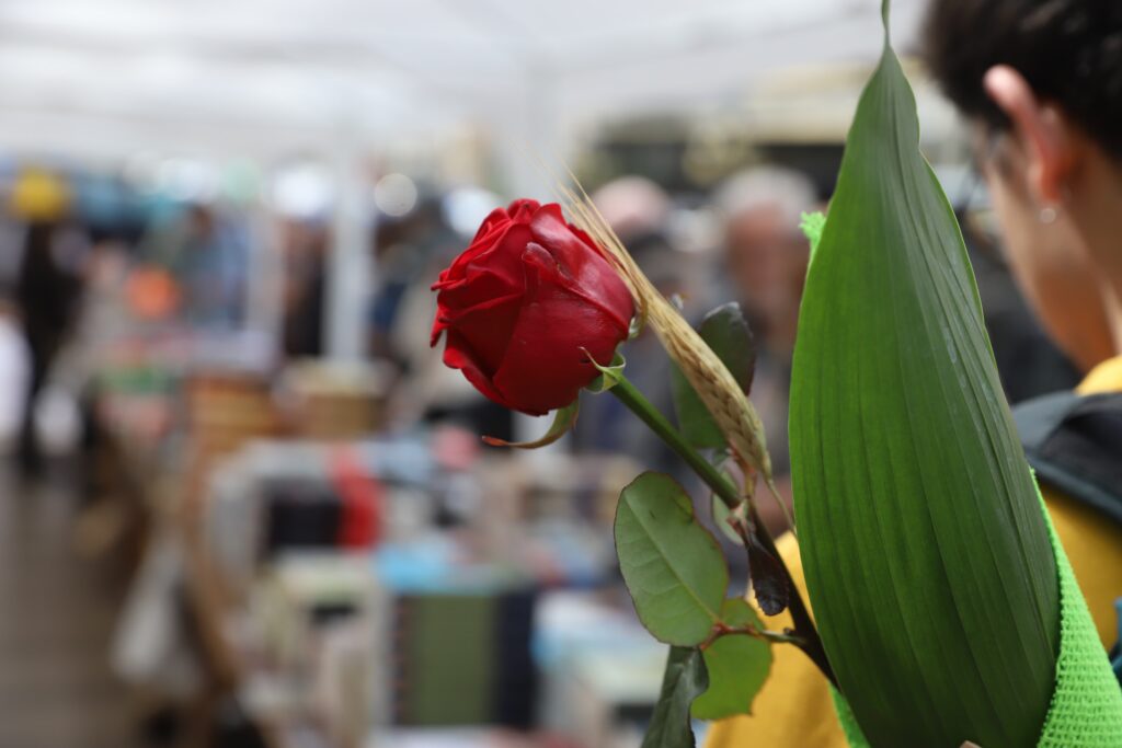 Una rosa en una de les parades de Sant Jordi de la Rambla de Barcelona.
