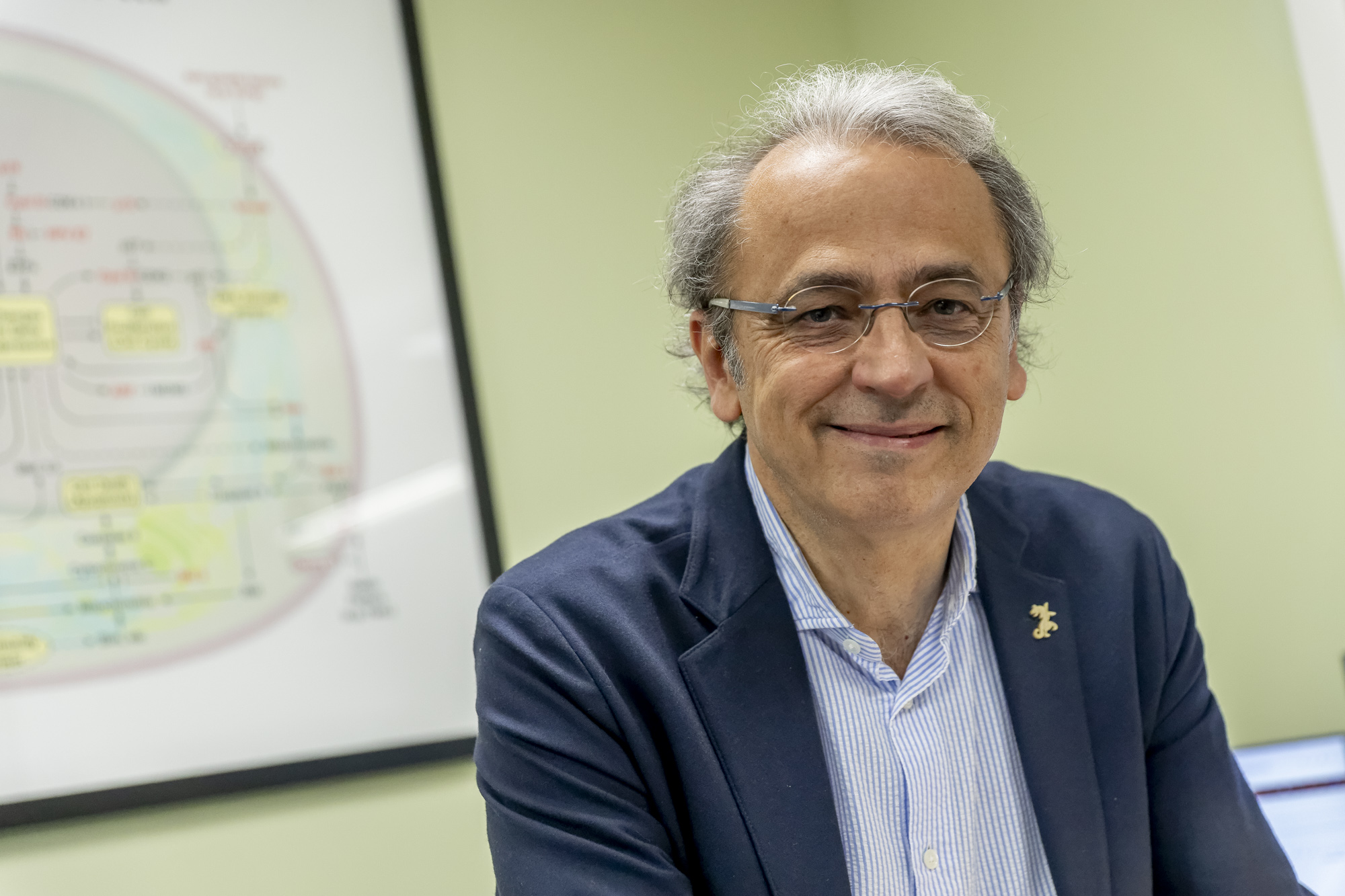 Josep Maria Llovet, al seu despatx (fotografia: Albert Salamé).