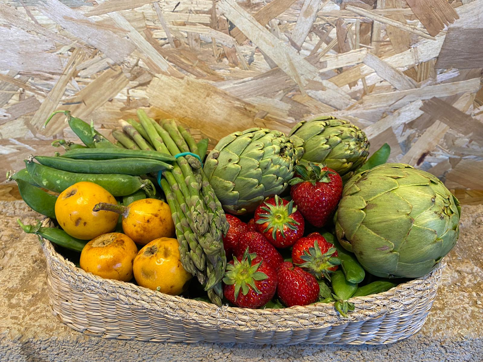 Fotografia: @lhortdenpau_botiga