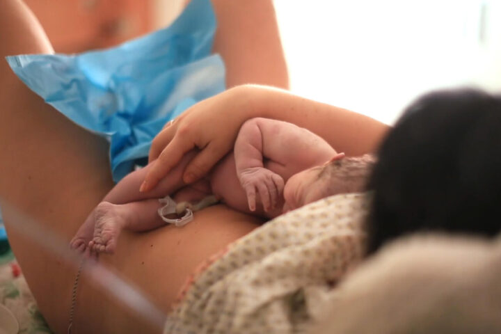 Un nadó recent nascut (fotografia: SSIBE).