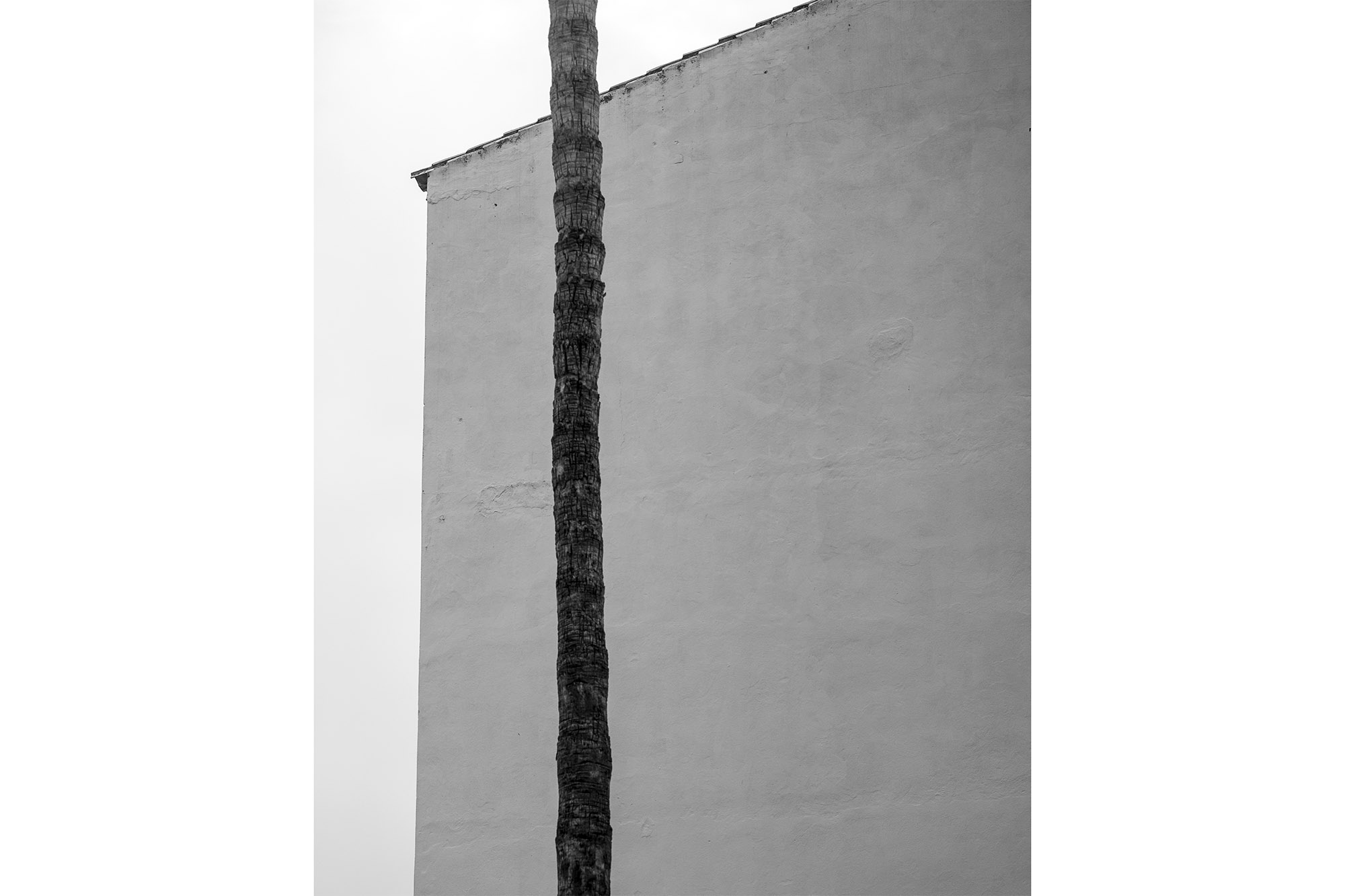 Fotografia: Jean-Marie del Moral.