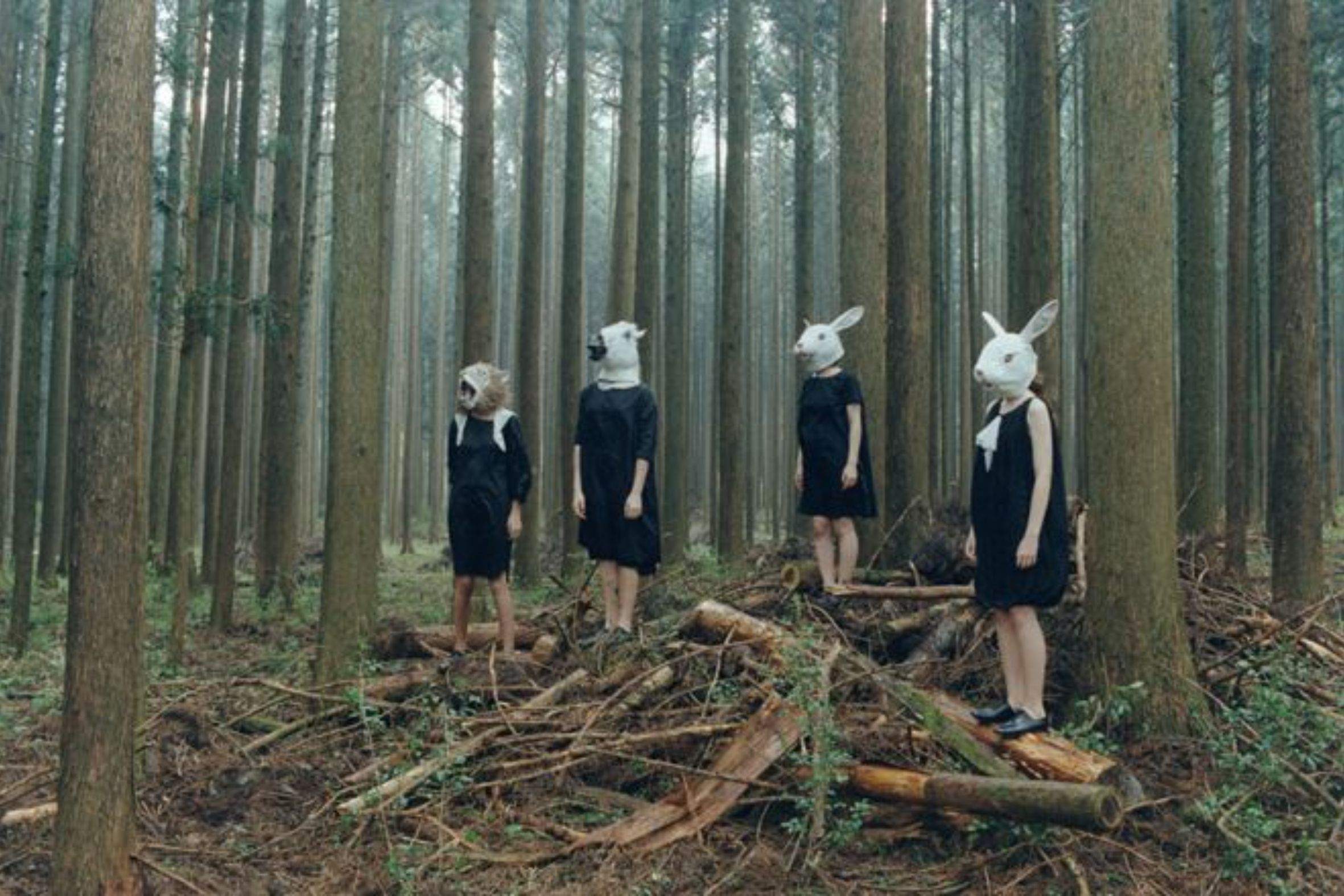 ografia d’Osamu Yokonami