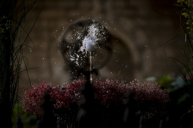 [FOTOGRAFIES] L’Ou com Balla del Corpus a Barcelona, adaptat per segon any consecutiu a la sequera