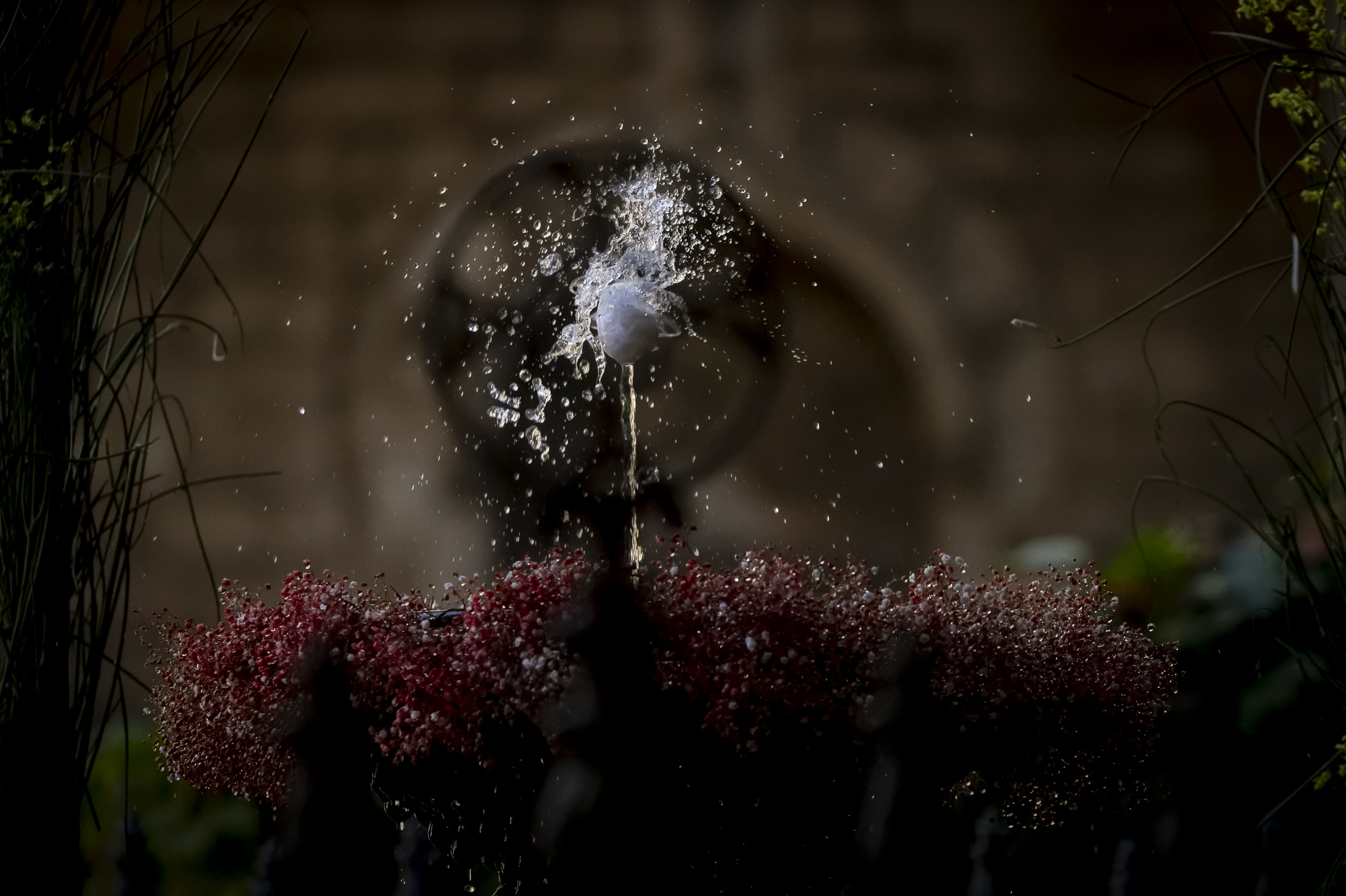 Un moment de l'ou com balla (fotografia: Albert Salamé).