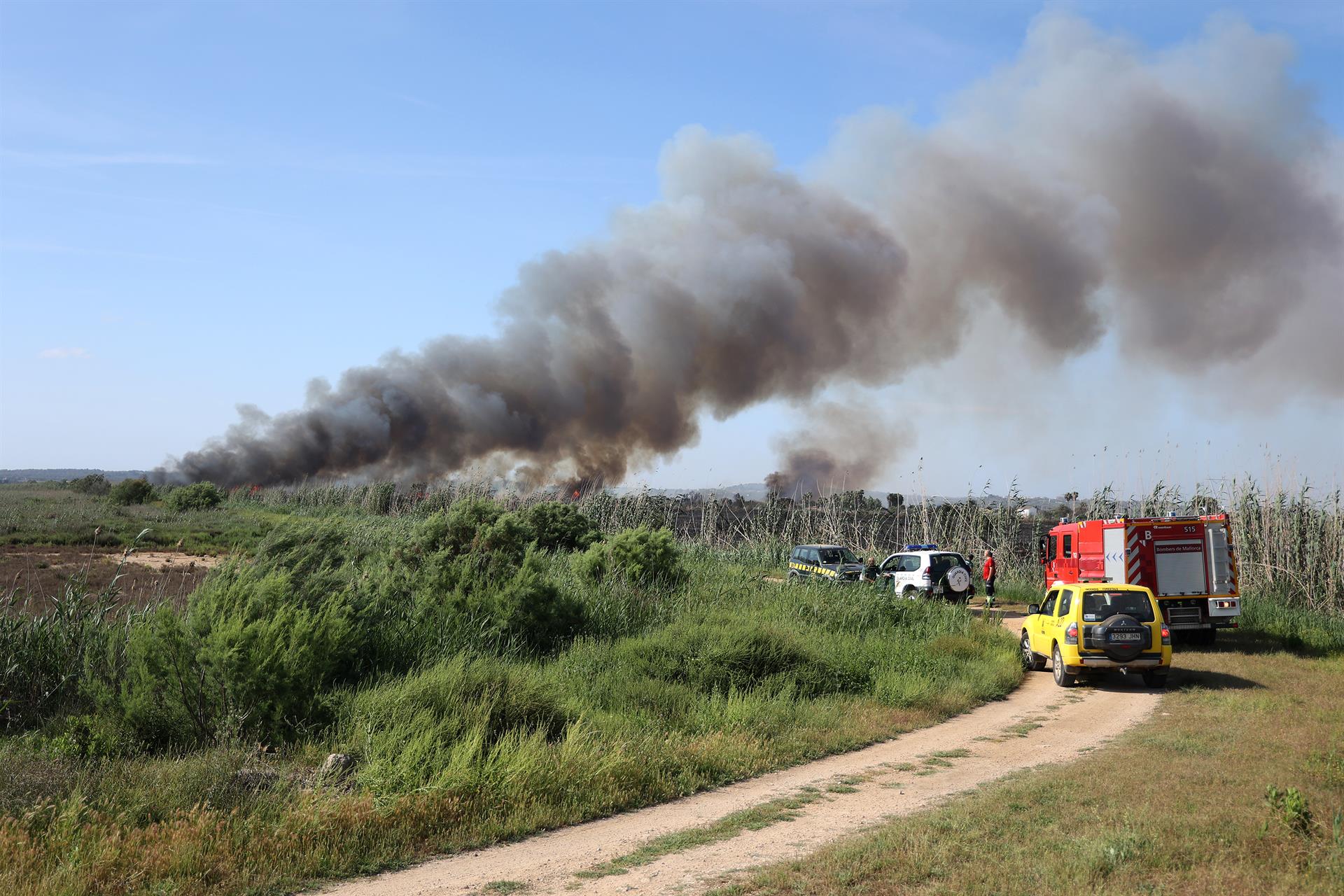 Un moment de l'incendi de l'Albufera (fotografia: Europa Press / Isaac Buj).