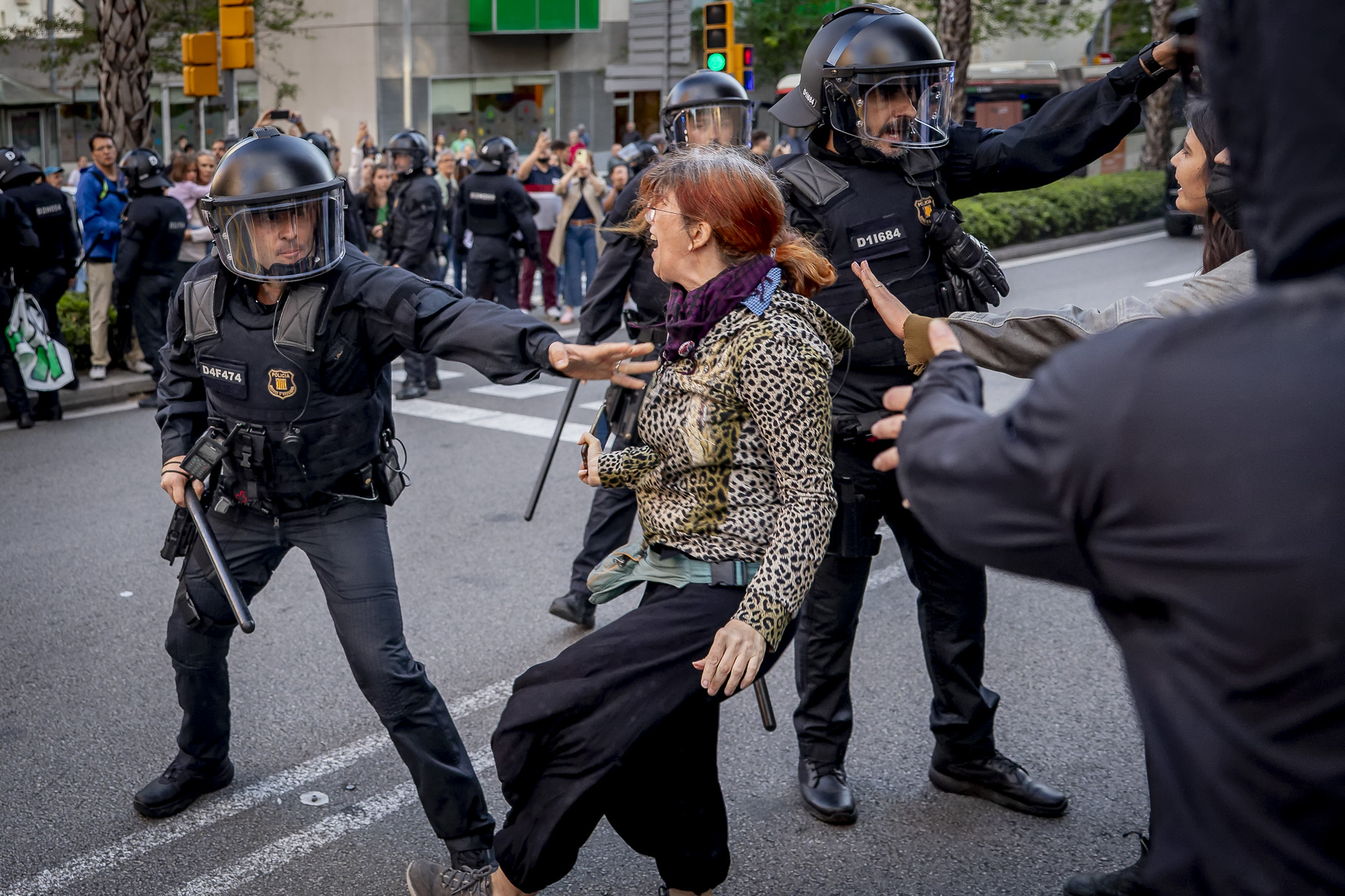 Fotografia: Albert Salamé.