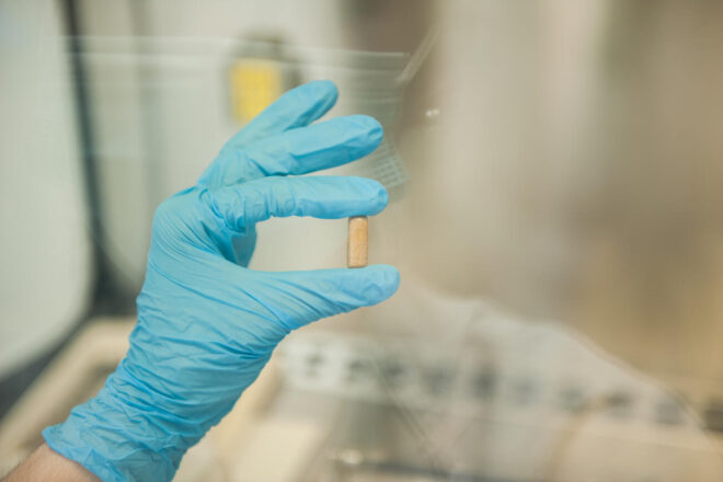 Puc ser donant de femta? Primer banc públic de microbiota per a una teràpia pionera