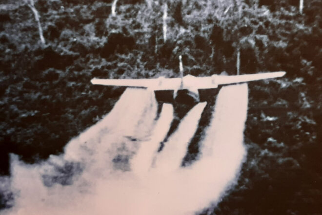 L’agent taronja, el darrer fantasma de la guerra