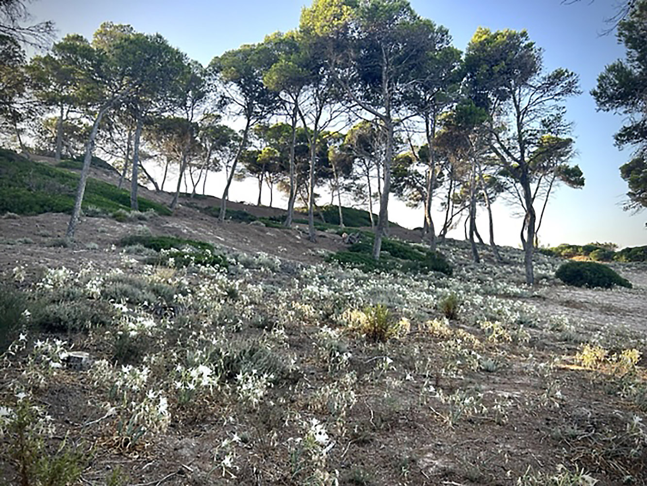 Fotografia: Jean-Marie del Moral.