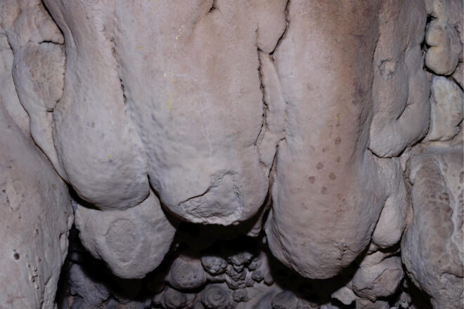 Descobreixen art de fa més de 12.000 anys al jaciment de Simanya Gran