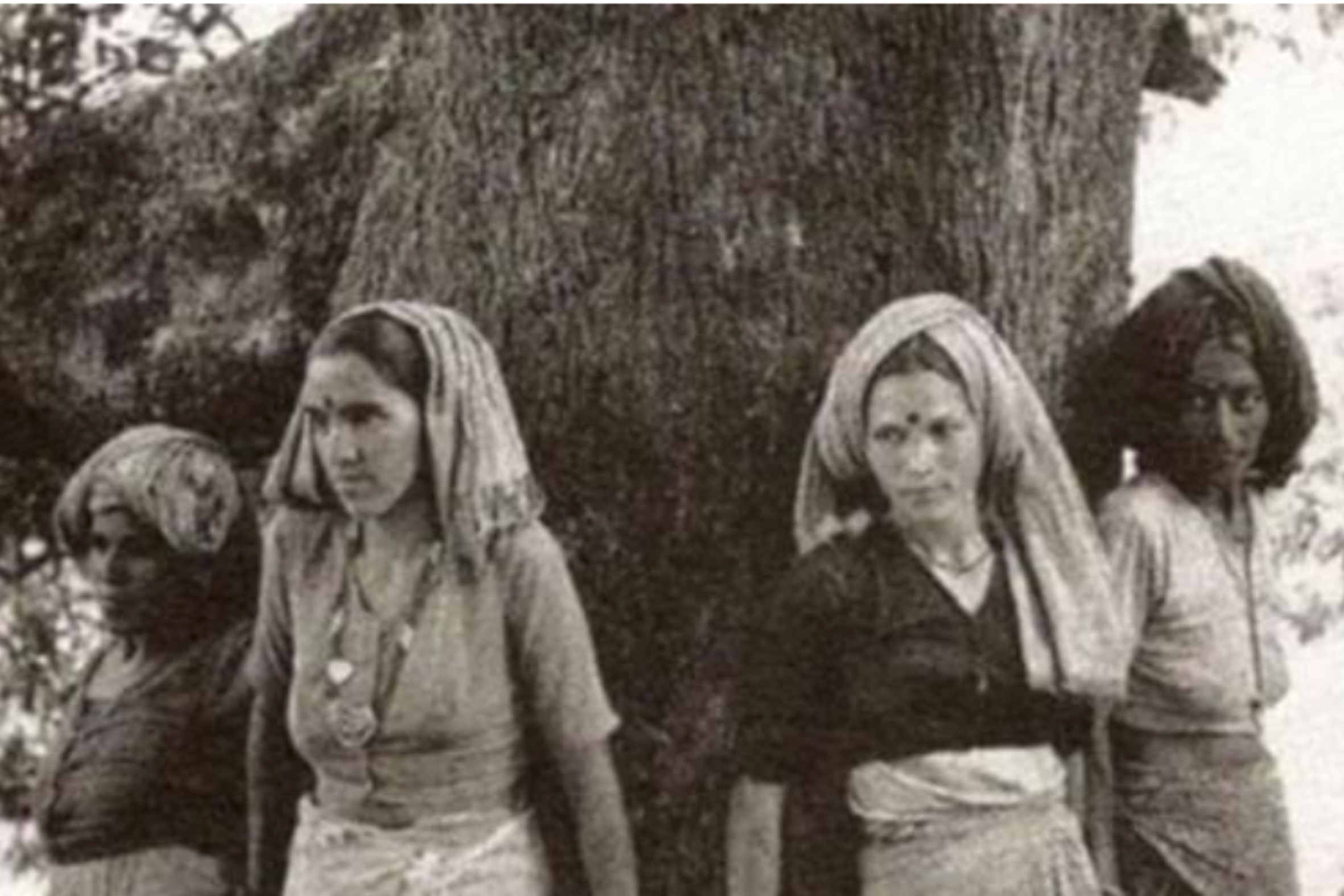 Les dones del moviment Chipko, a l’Índia dels setanta.