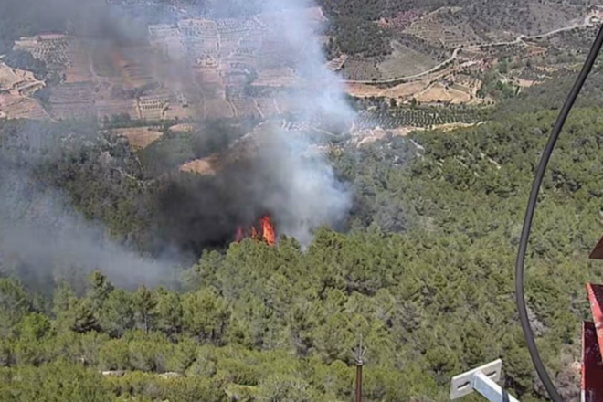 Un incendi crema el bosc de la Figuera, al Priorat, i obliga a confinar dos pobles