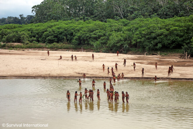 Una tribu amazònica no contactada emergeix de la selva arran de l’avenç dels llenyataires