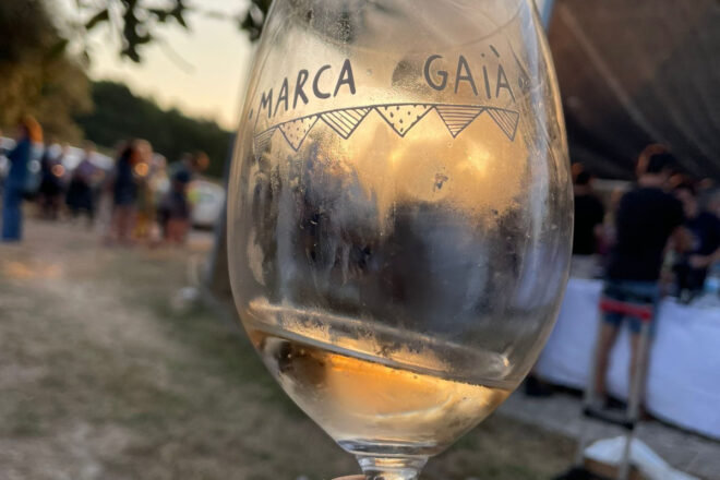 La Marca Gaià, una nova identitat vinícola amb arrels històriques