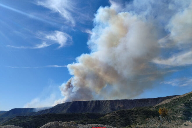 Un incendi forestal crema a Mequinensa i obliga a desallotjar un càmping