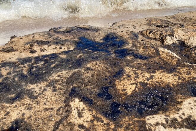[FOTOS] Un abocament de combustible obliga a prohibir el bany a les platges del Saler i l’Arbre del Gos