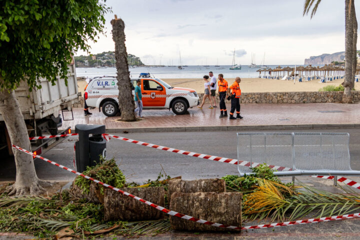 Estralls del temporal