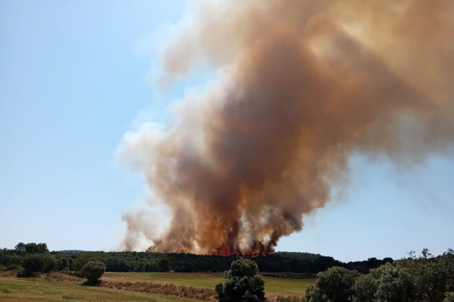 Estabilitzat l’incendi forestal d’Artesa de Segre, que ha afectat unes 68 hectàrees