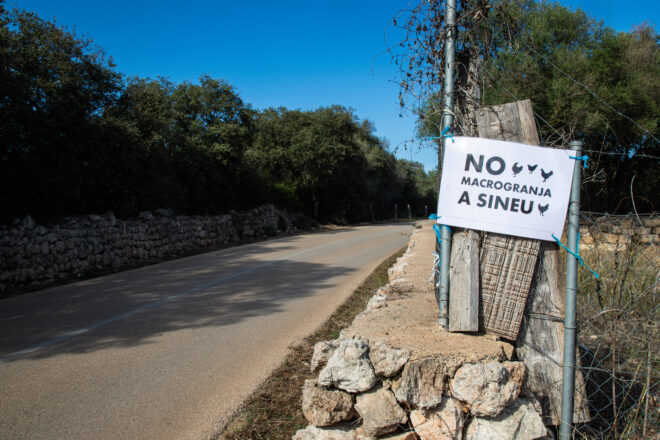 Els veïns de Sineu, frustrats per la macrogranja de 750.000 gallines: “És una aberració”