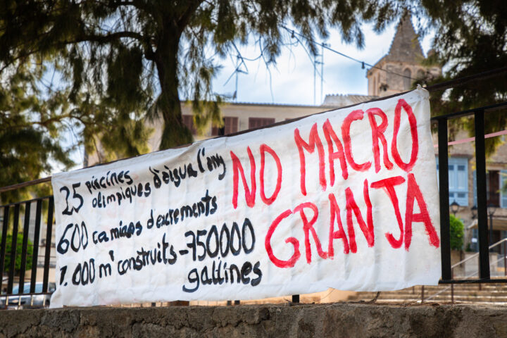 Una pancarta contra la macrogranja al nucli de Sineu (fotografia: Martí Gelabert).