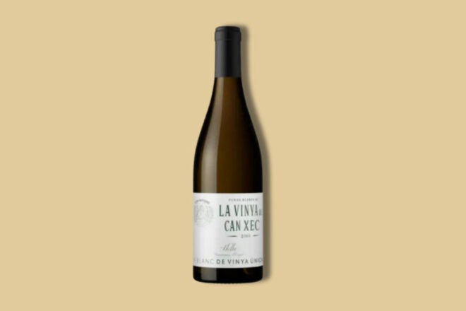 Vi La vinya de Can Xec 2019, expressió de la pansa blanca