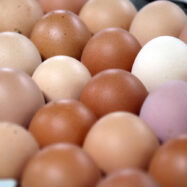 Els preus pugen poc… però el seu nivell és molt alt