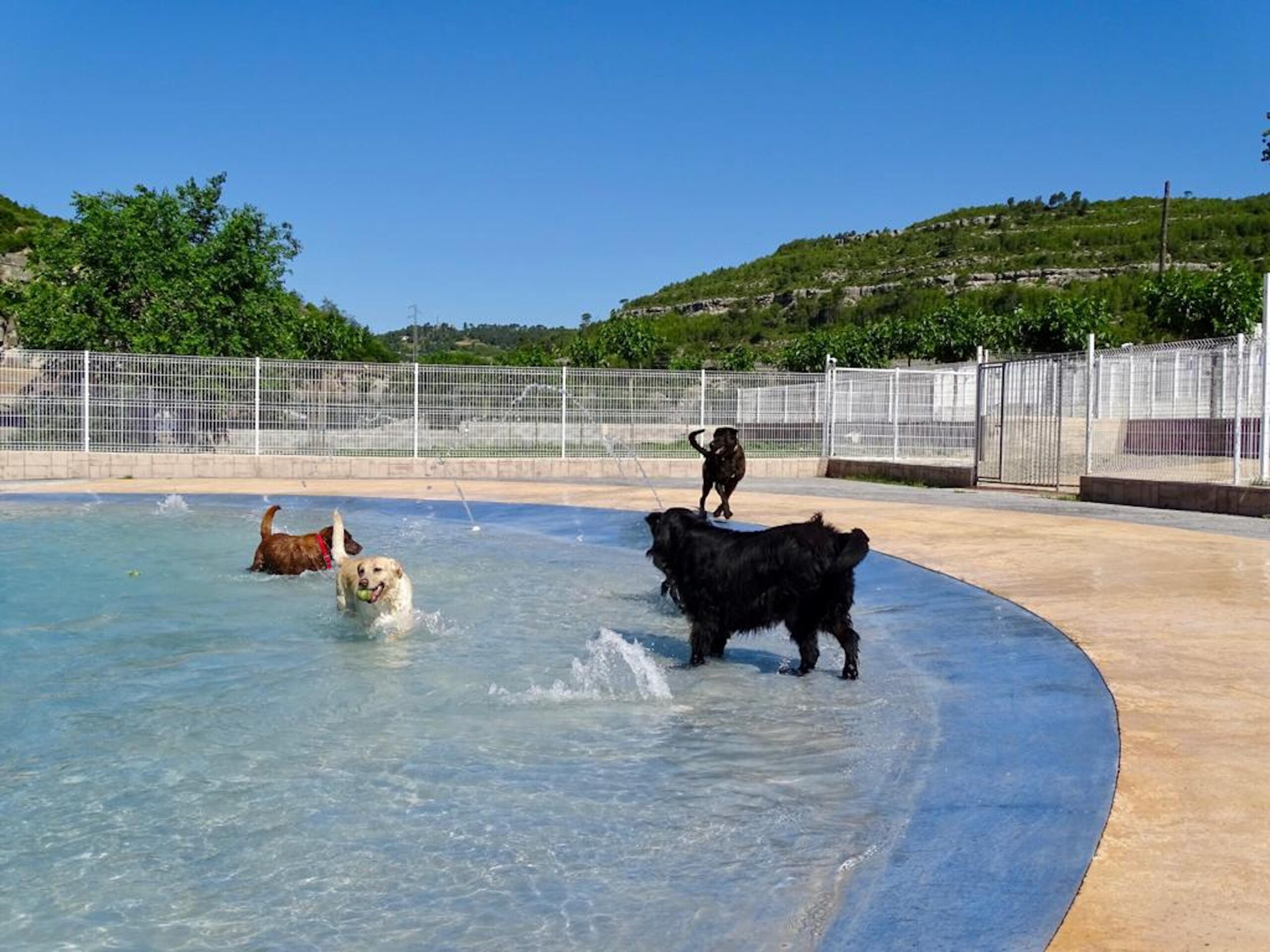 La piscina de l'Hotel Caní el Vilà, a Calders, al Moianès (fotografia: cedida).