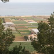 Maneres noves d’habitar el territori i defensar-lo