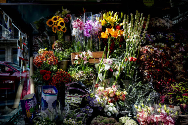 Flors Carolina, la floristeria que fa cent trenta-sis anys que resisteix a la Rambla