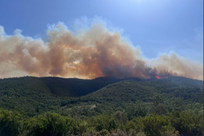 Un gran incendi crema al Rosselló empès per la tramuntana