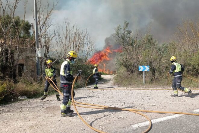 Extingit un incendi al parc natural de l’Albufera